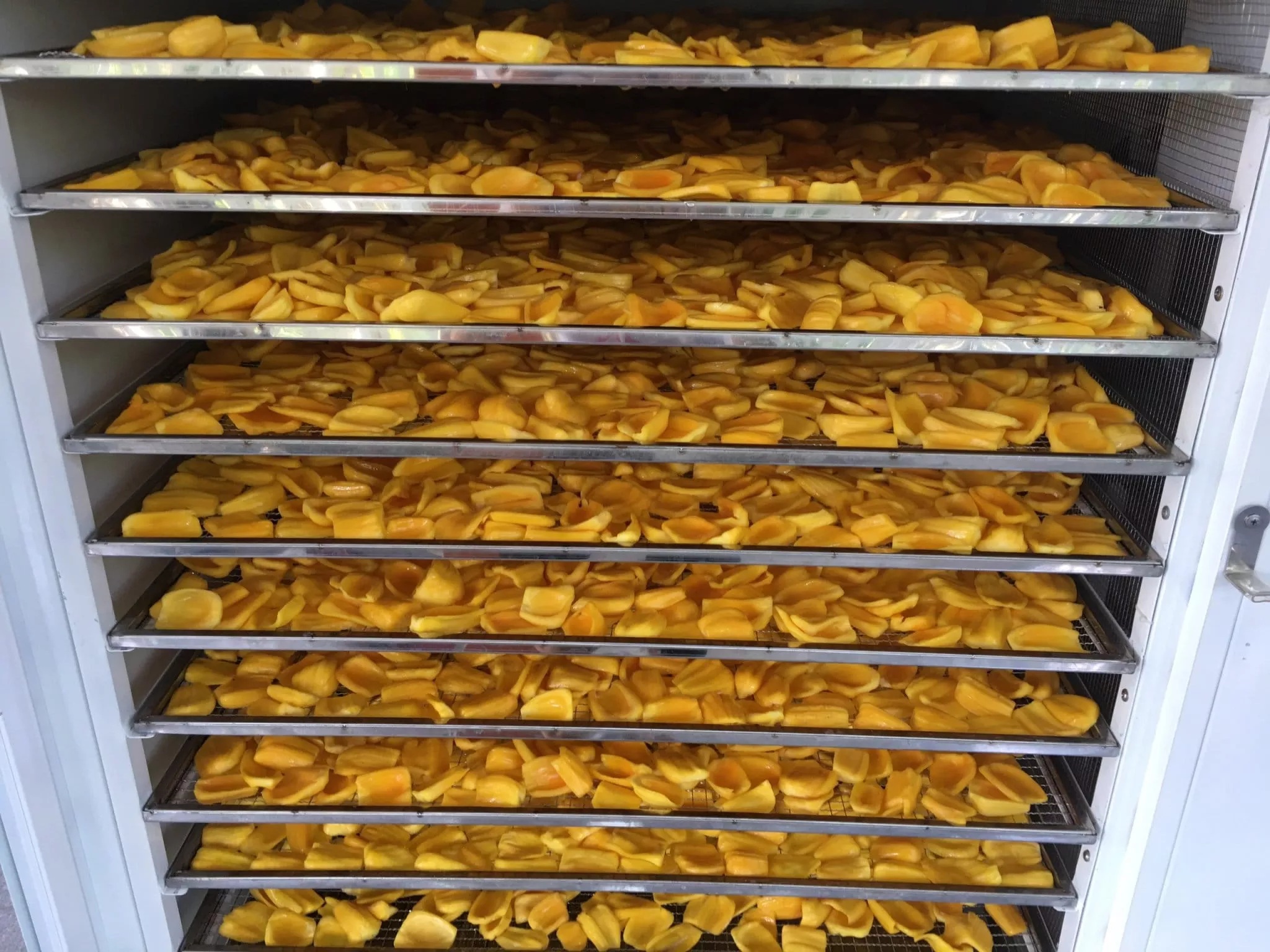 [HCM] 500G MÍT  SẤY DẺO KHÔNG ĐƯỜNG