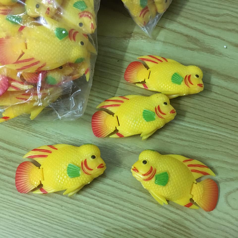 Cá kè la hán - Cá nhựa kè cá la hán