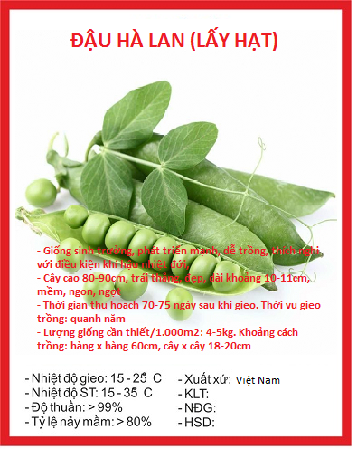 Hạt giống đậu hà lan - Gói 20gram