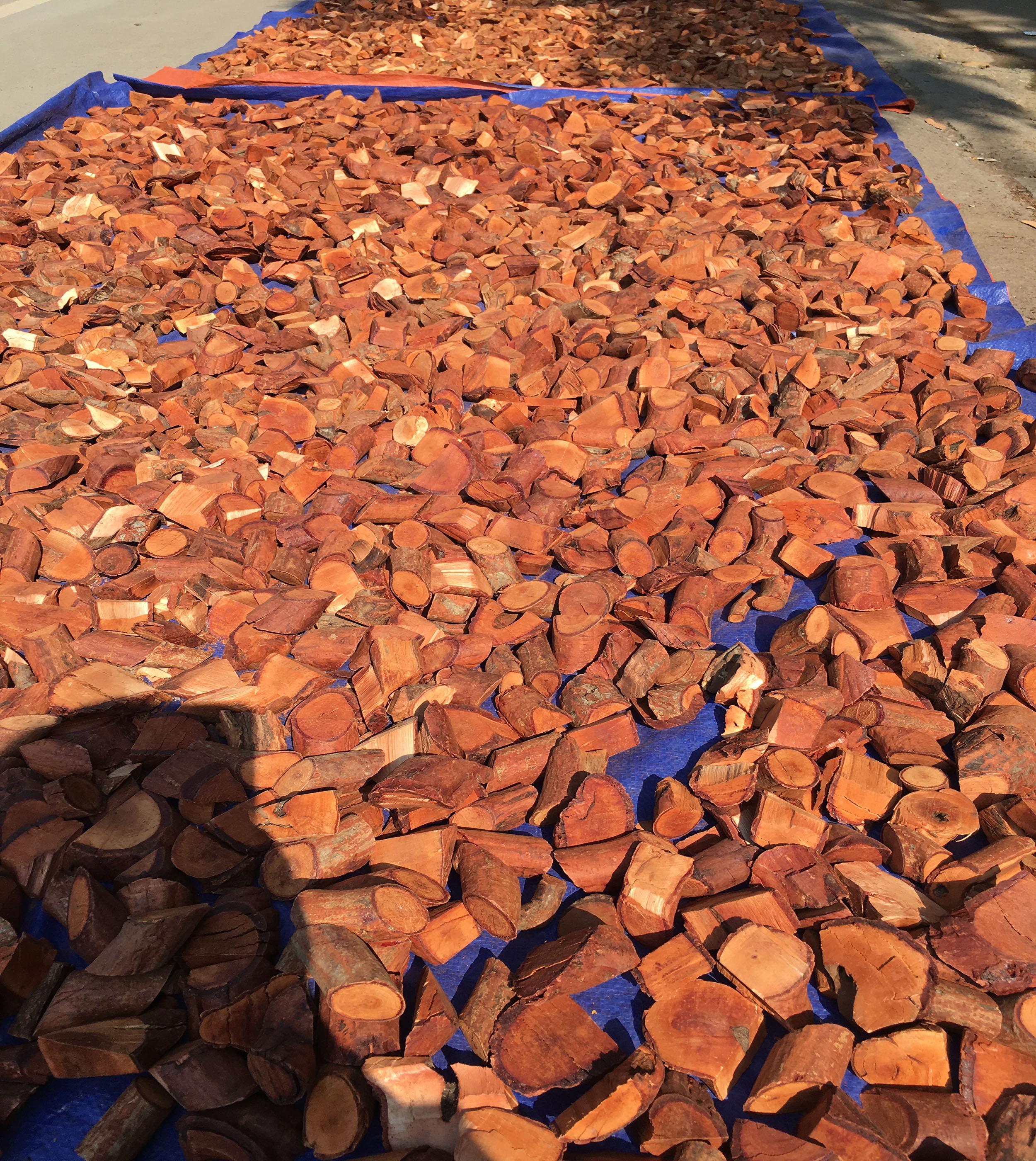 Mú Từn -CÙ BOONG NẬU 1kg