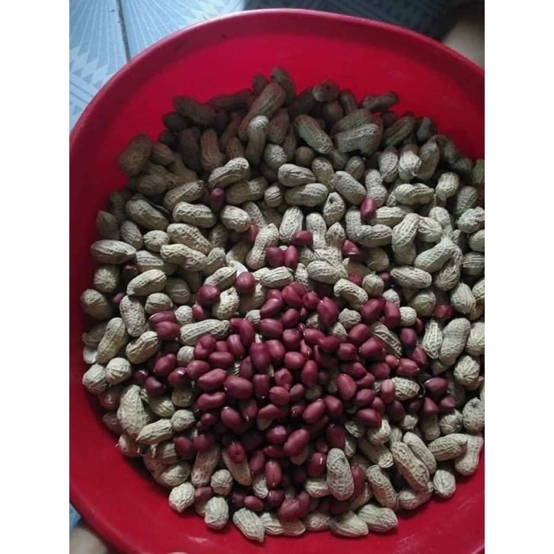 1 kg lạc đỏ quê bóc vỏ hạt đều chắc