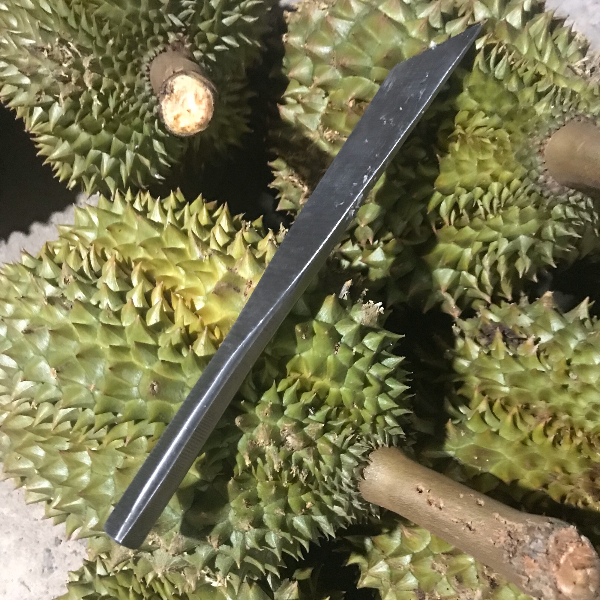 [HCM]Dao khui sầu riêng