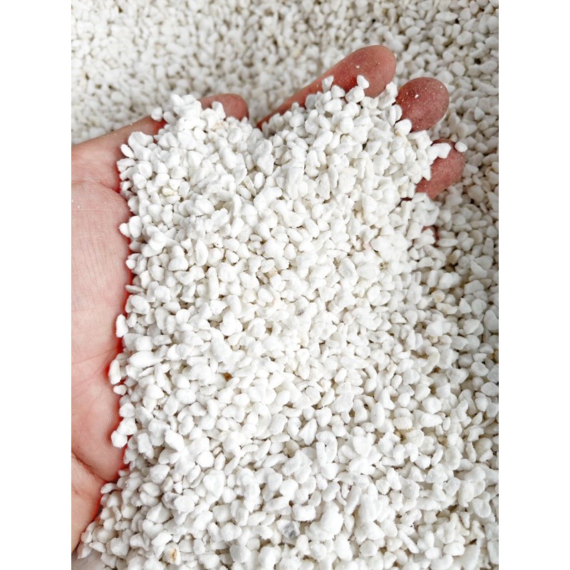 Đất trồng sen đá trộn sẵn (1kg) Đất chuyên dụng cho sen đá