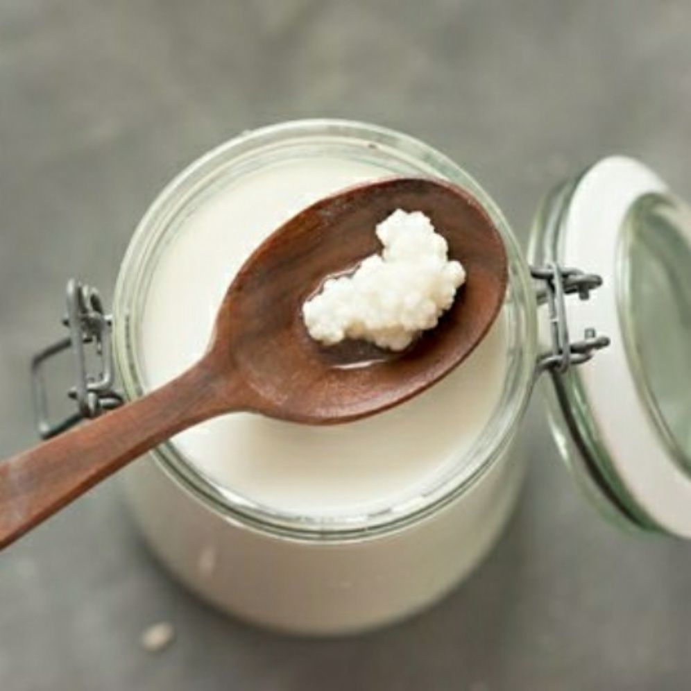 1 phần nấm sữa kefir + 1 vợt nhựa, nấm sữa làm sữa chua, rây lọc bằng nhựa