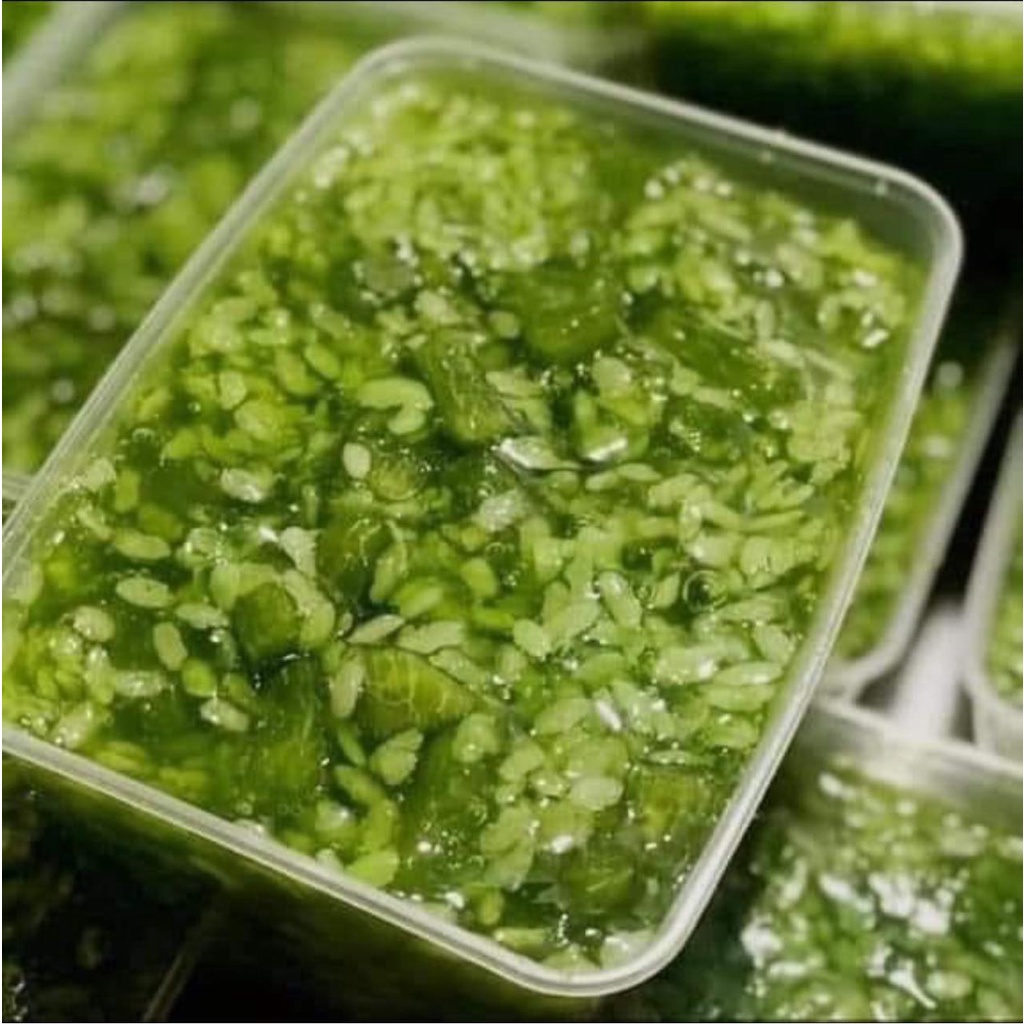 Set Nấu CHÈ BƯỞI CỐM NON Siêu Ngon