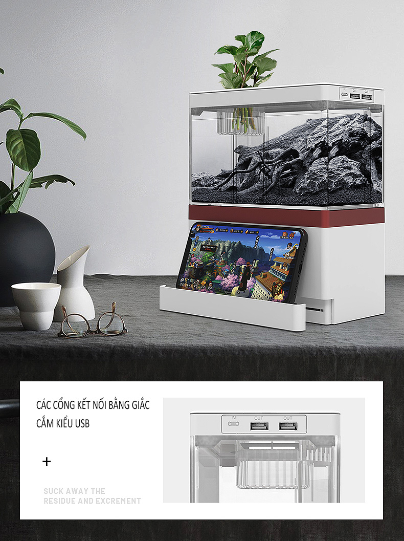 Bể cá mini để bàn Bể cá thủy sinh mini 05
