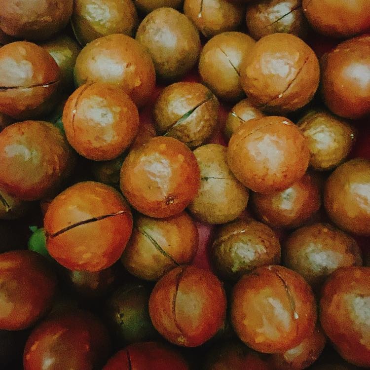 Hạt macca (nứt vỏ- có video) {Khối lượng tịnh, không tính bao bì}