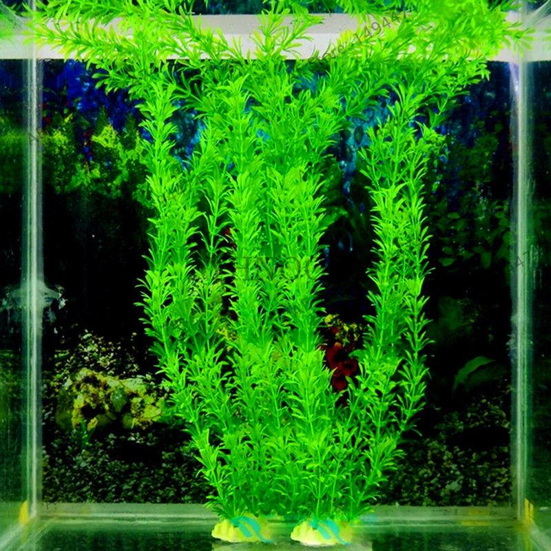 [3 packs] - Aquarium Grass Seeds