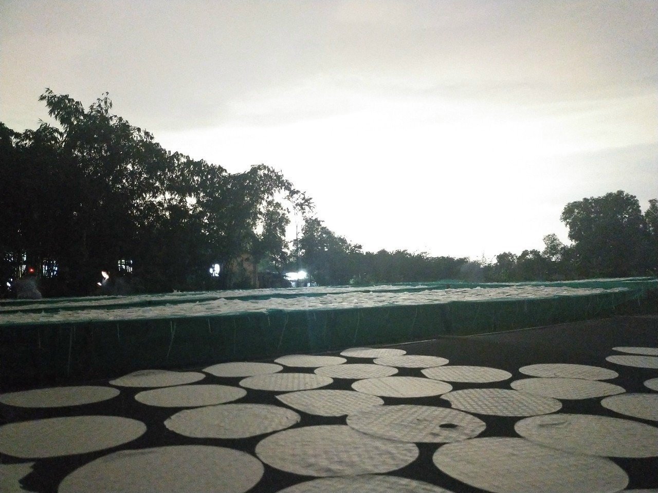 COMBO Bánh tráng phơi sương 250gr, muối ruốc hành phi 200gr+50ml sốt tắc+ bơ béo thơm ngon