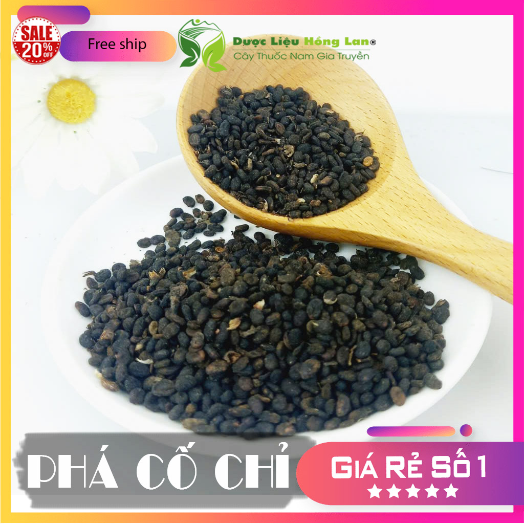 ✅[Thượng hạng] 100G Phá Cố Chỉ (Bổ Cốt Chỉ) khô sạch loại 1