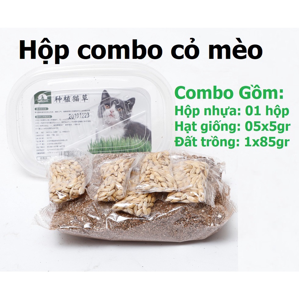 Combo trồng cỏ mèo - cỏ lúa mạch cho mèo (Hạt Giống Cỏ Mèo + Hộp Trồng)