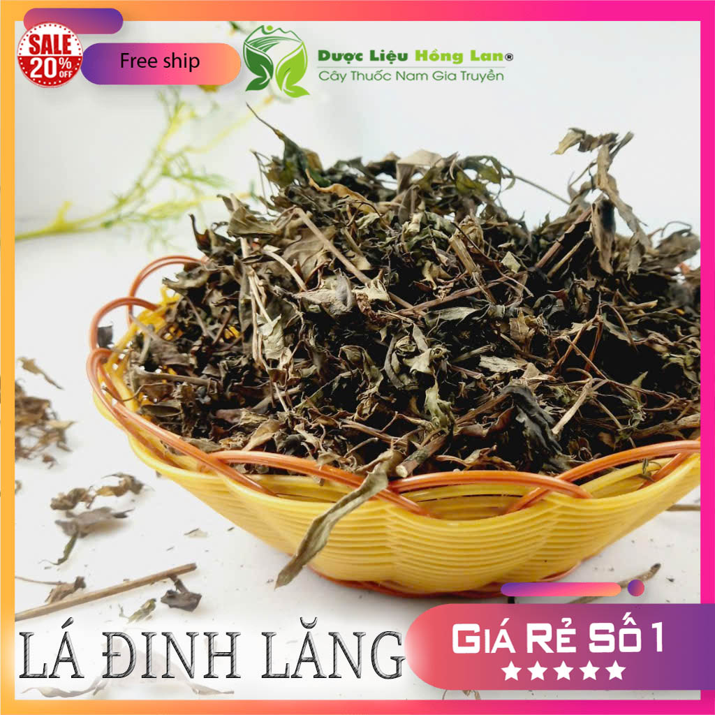 [FreeshipMAX] [HCM]Lá Đinh Lăng khô 1kg