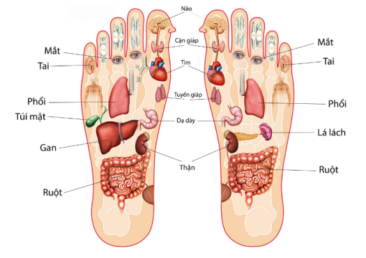 Muối Thảo Dược Ngâm Chân