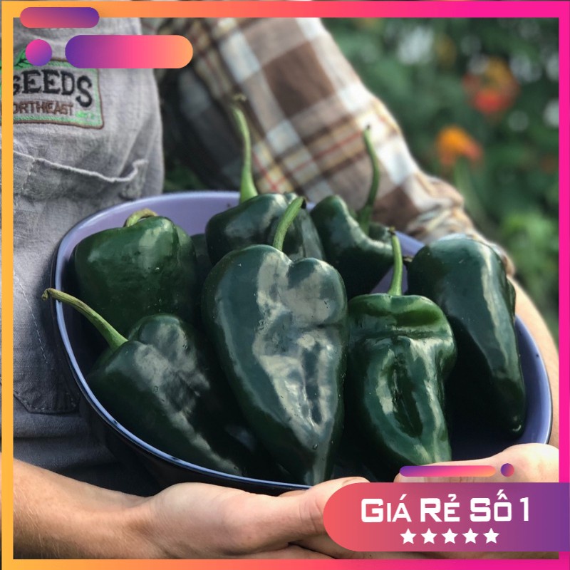 Hạt giống ớt ancho poblano f1 - 10 hạt nk mỹ
