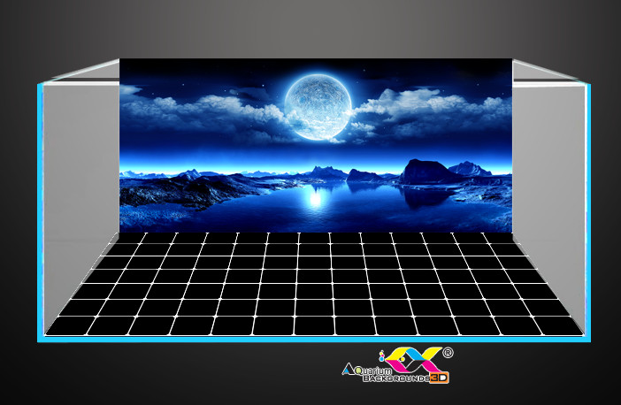 Tranh 3D Koifish, tranh bộ ấn tượng, lưng 90x40cm, đáy 90x50cm