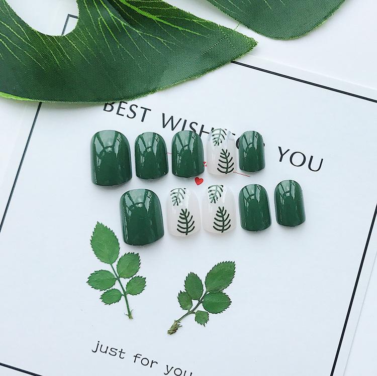 Bộ 24 móng tay giả hình lá xanh (kèm keo)