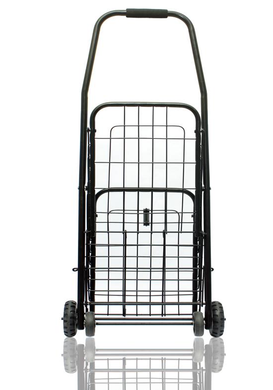 Small Multi-Purpose Shopping Cart