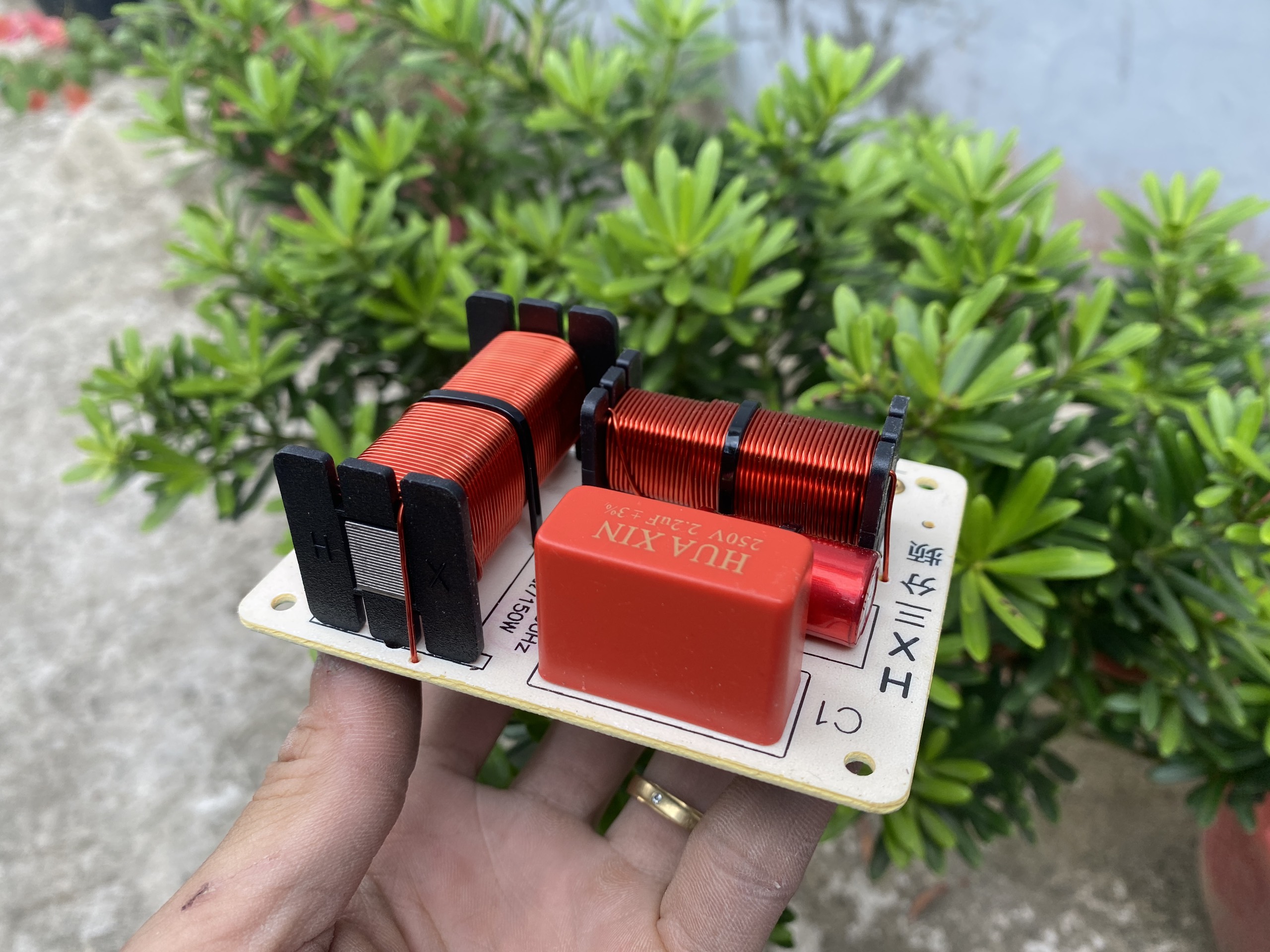 Phần Tần 3 way B301