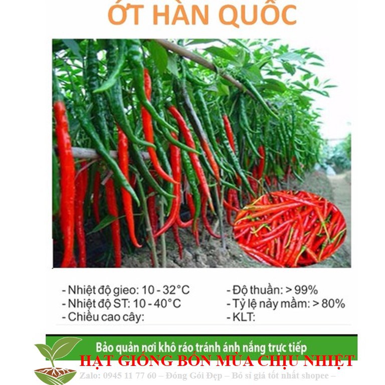 HG17A Hạt giông ớt dài hàn quốc 10 hạt