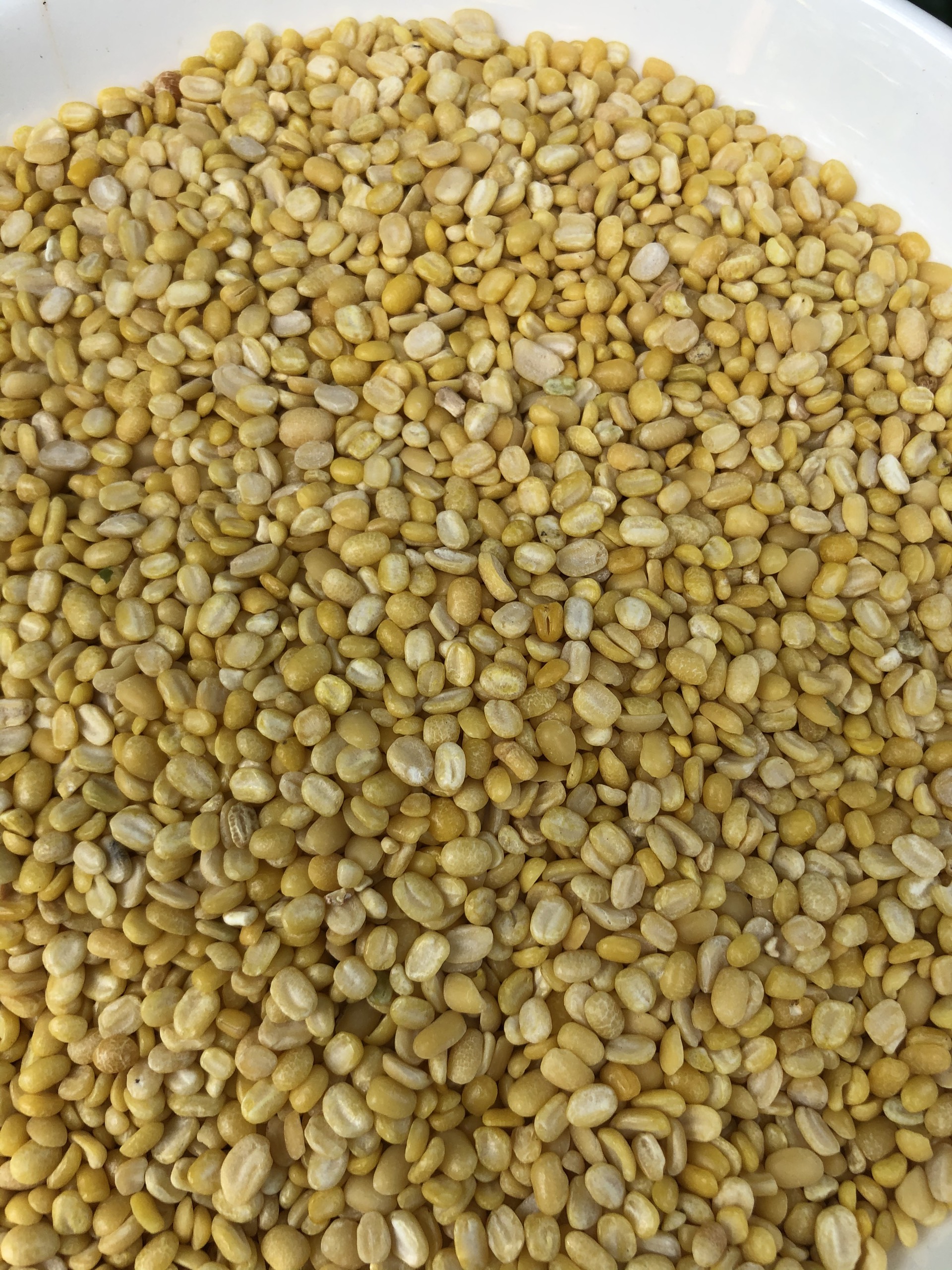 Đậu xanh đã bóc vỏ, cà sạch vỏ 500g