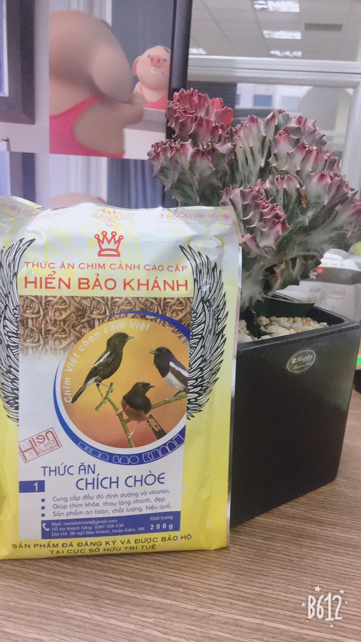 Cám chim Chích Chòe số 1 Hiển Bảo Khánh