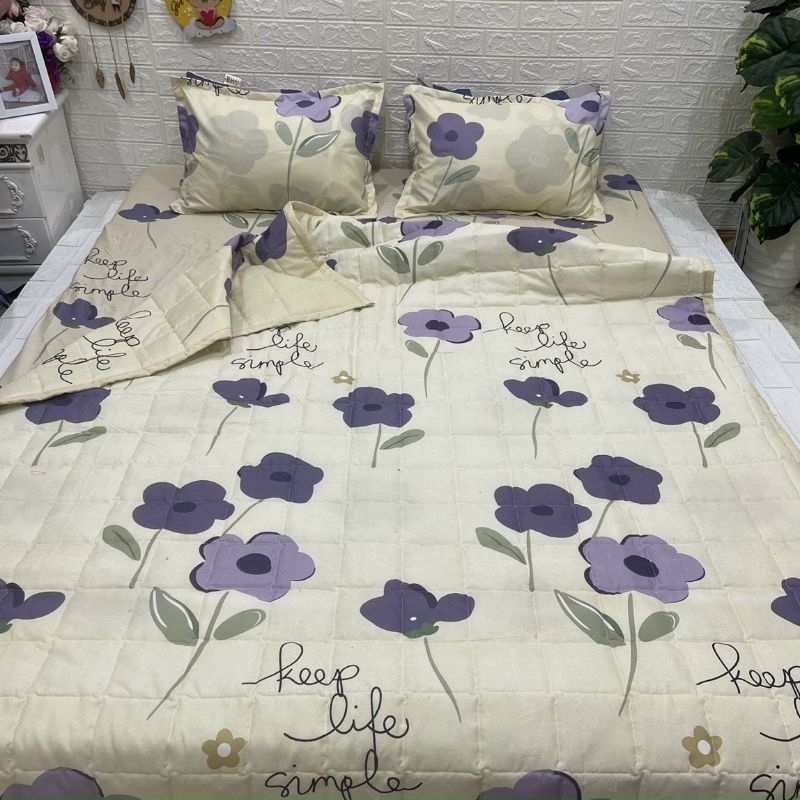 Bộ chăn hè trần bông ga gối 5 món Cotton poly chăn 1m7x2m