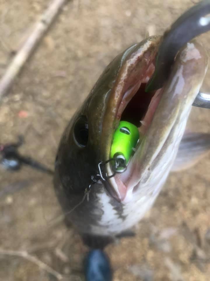 [HCM]Mồi lure chìm F35 TNTlures