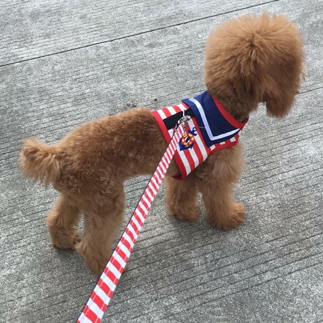 Áo yếm thuỷ thủ kèm dây dắt cho cún mèo🐶🐱