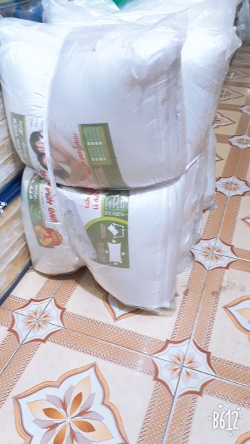 Ruột Gối Nằm 50×70 Hút Chân Không
