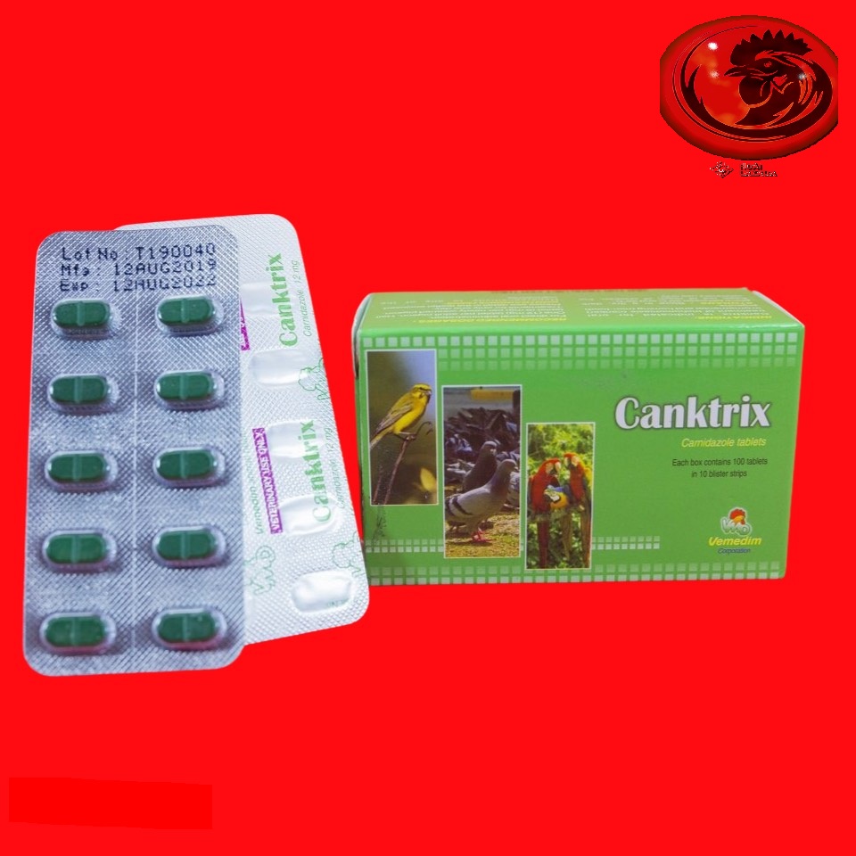 CANKTRIX NẤM, ĐẸN HỌNG CHO GÀ ĐÁ 10 VIÊN