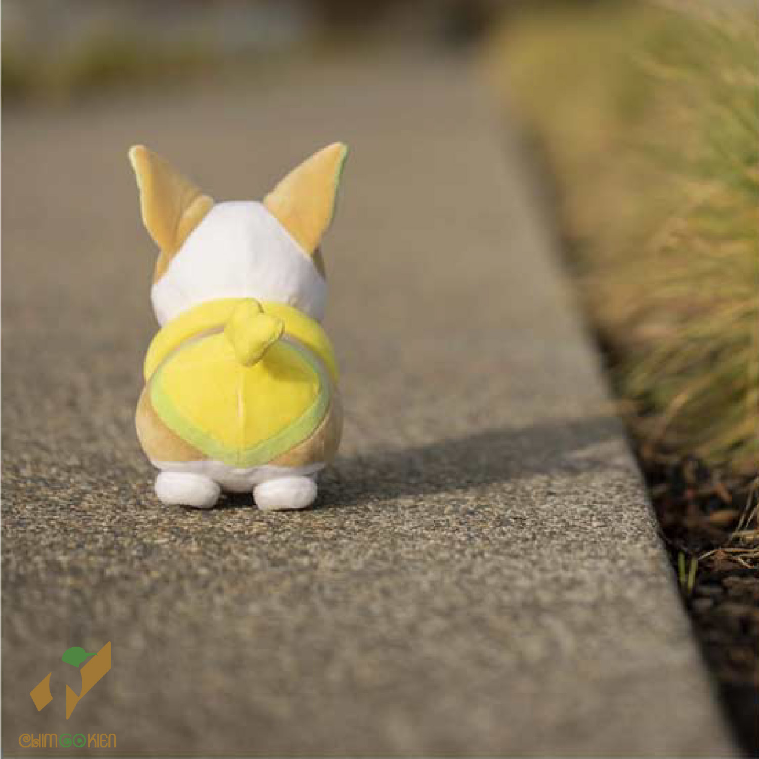 (MỚI)Gấu bông pokemon Wanpachi(Yamper) 22cm