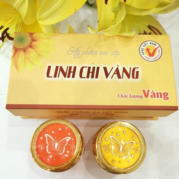 BỘ ĐÔI TRỊ NÁM, TRẮNG DA LINH CHI VÀNG