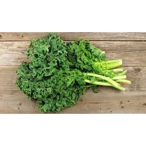 HẠT GIỐNG CẢI XOĂN KALE gói 5gr