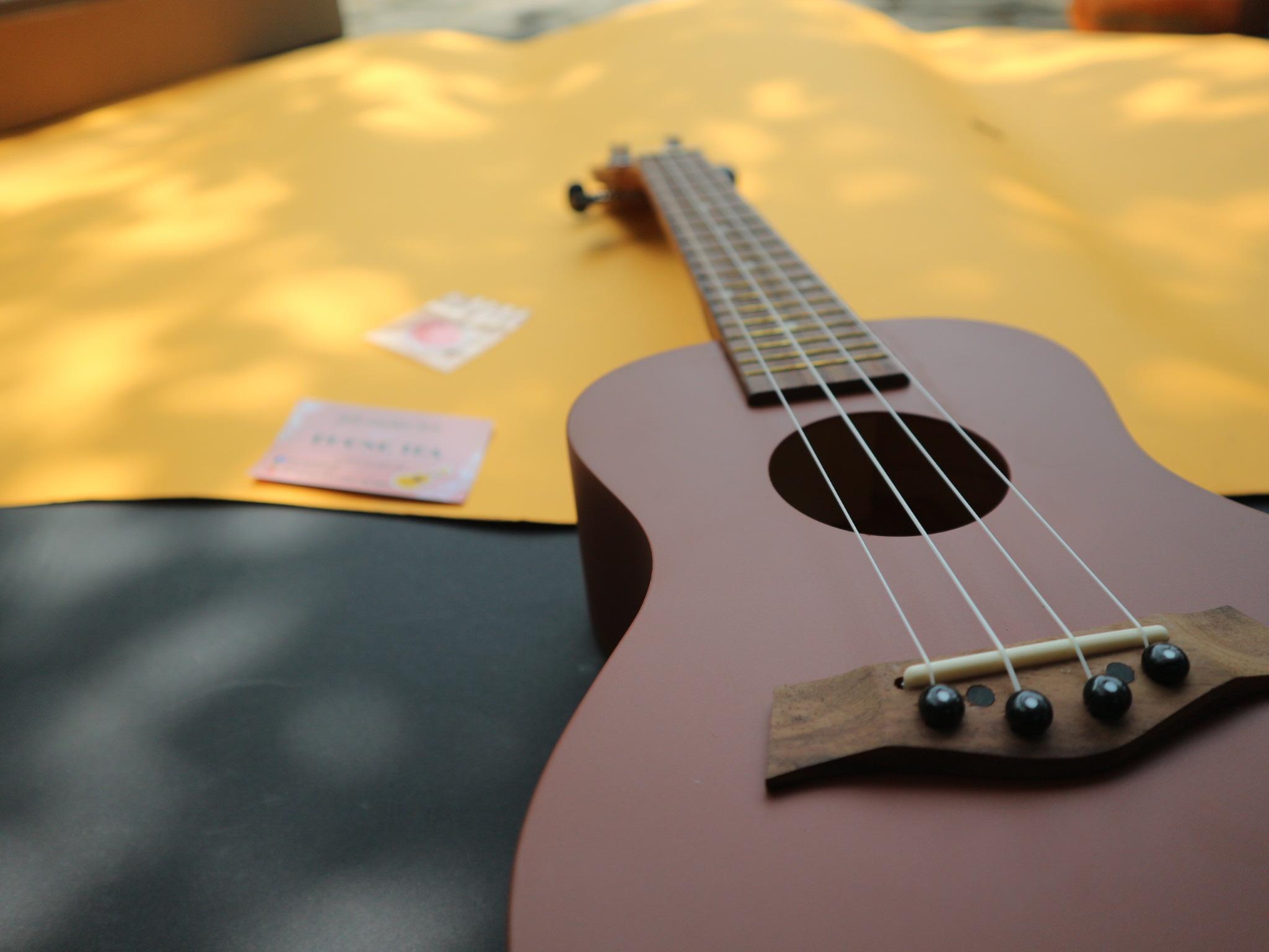 Combo Đàn Ukulele Gỗ Size Concert 23 Kèm Bao vải