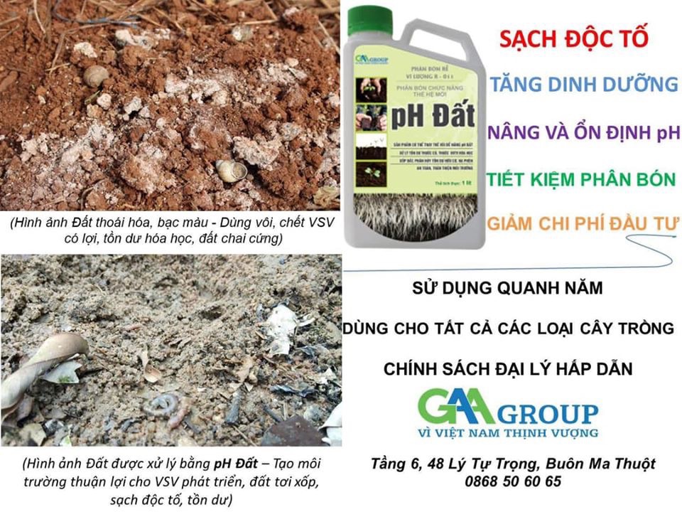 Soil Improvement, Transform Compacted Soil into Fertile Soil - Soil Ph 1 Can 400 Liters of Water