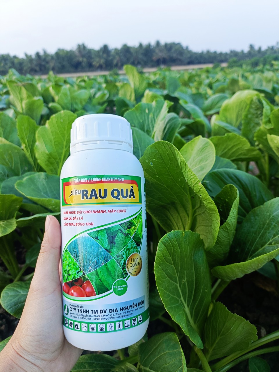 PHÂN BÓN CHO RAU MÀU, MẬP CỌNG, XANH DÀY LÁ - siêu rau quả chai 500ml