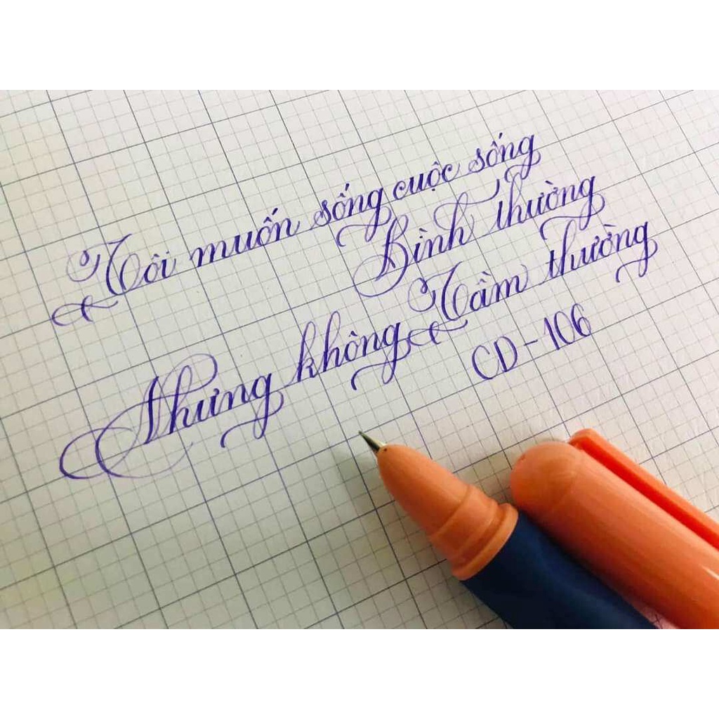 Bút Máy CD 106 Ngòi Kim Tình