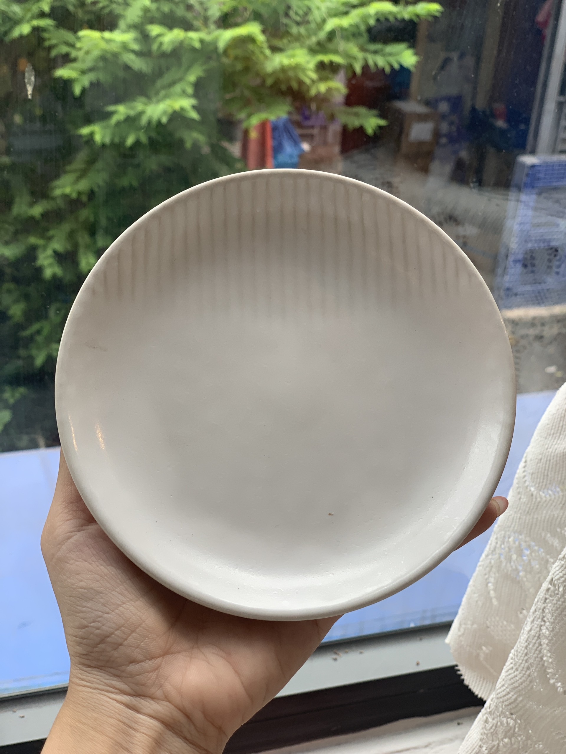 Japanese Plates (30.000VND each)