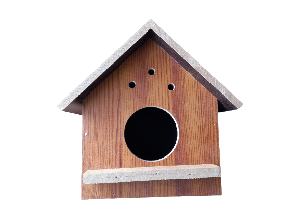 Tổ Chim Yến Phụng ,Manh Manh , Bảy Màu