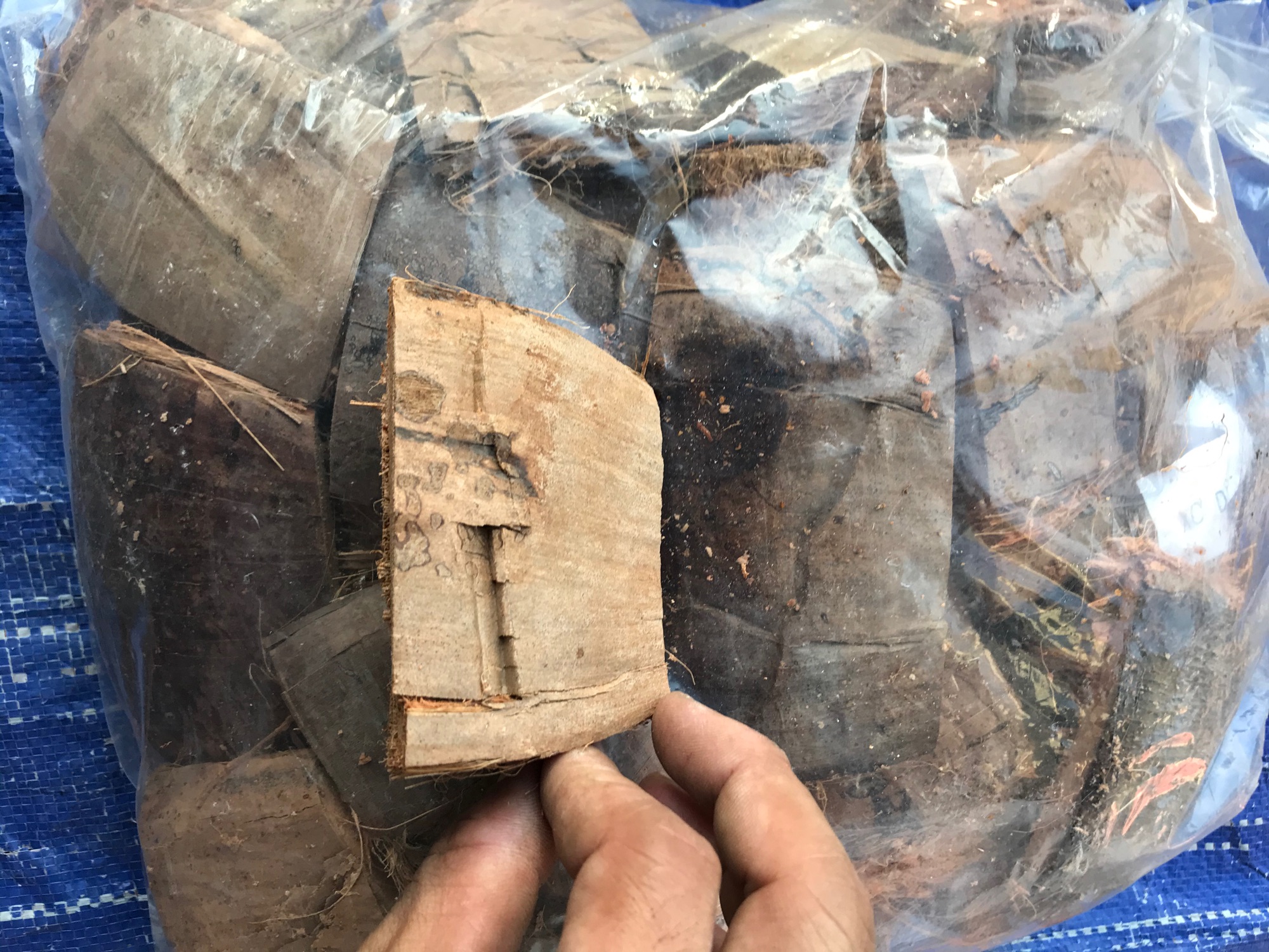 Vỏ dừa khô trồng lan gói 1kg