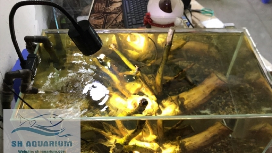 [HOÀN TIỀN 10%]Đèn LED RỌI 3W kẹp thành bể