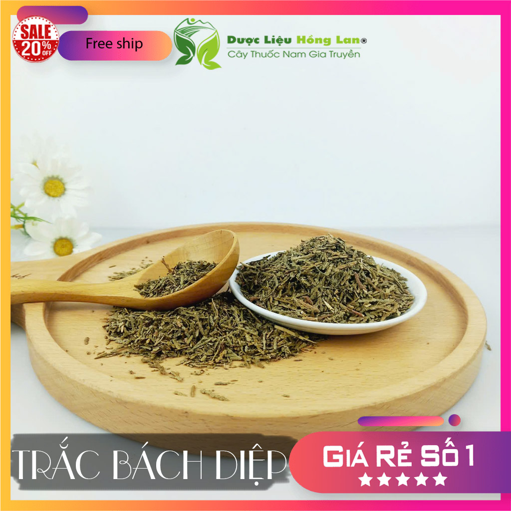[FreeshipMAX] ✅[THƯỢNG HẠNG] 100g Trắc Bách Diệp đẹp loại 1 - (Hàng chính hãng)