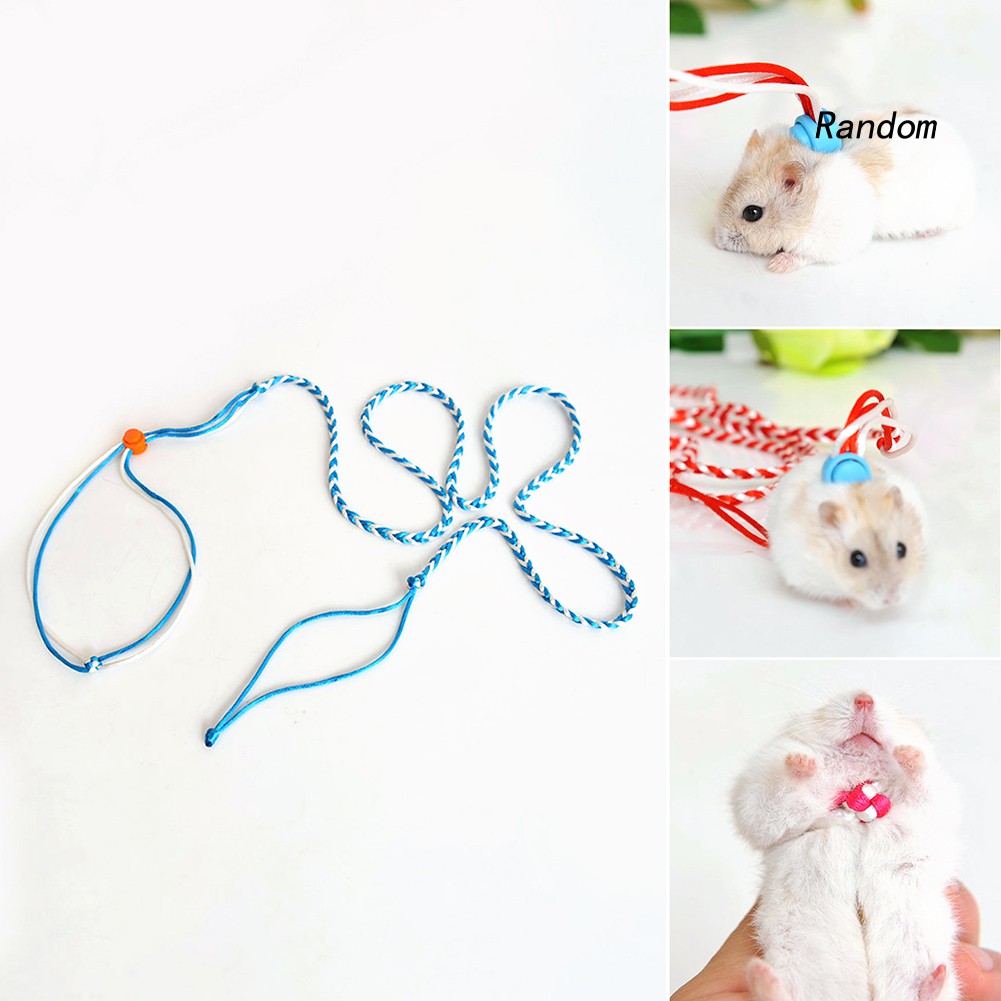 Dây dắt thú cưng đi dạo tiện dụng cho chuột hamster