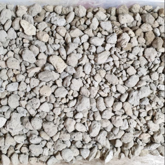 Đá Pumice 1000g - Đá bọt núi lửa trồng cây