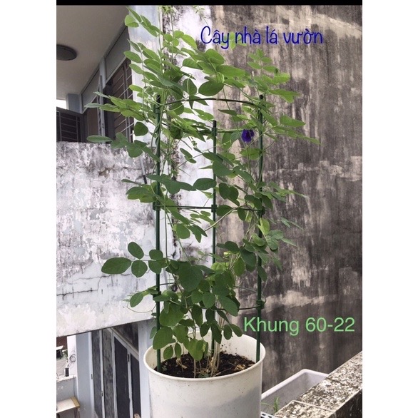 Khung đỡ hoa hồng, dây leo 45cm/60cm