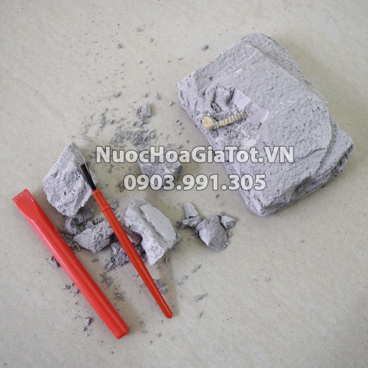 [HCM]Bộ 6 Khảo Cổ Học Khủng Long size S