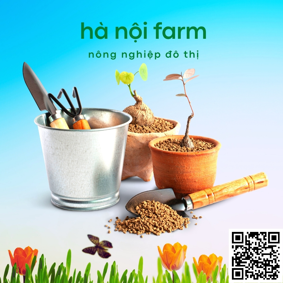 Đất nung Nhật Bản Akadama, Đất nung núi lửa - 1KG