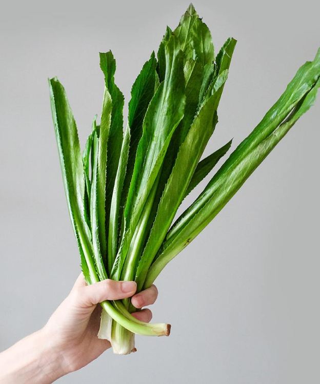 Hạt giống ngò gai – mùi tàu - gói 2gram