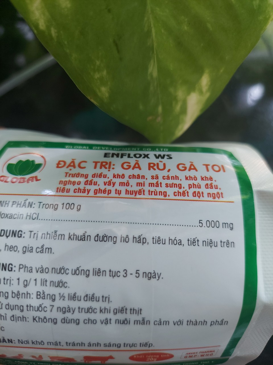 AN GUM (HỦ 100G)