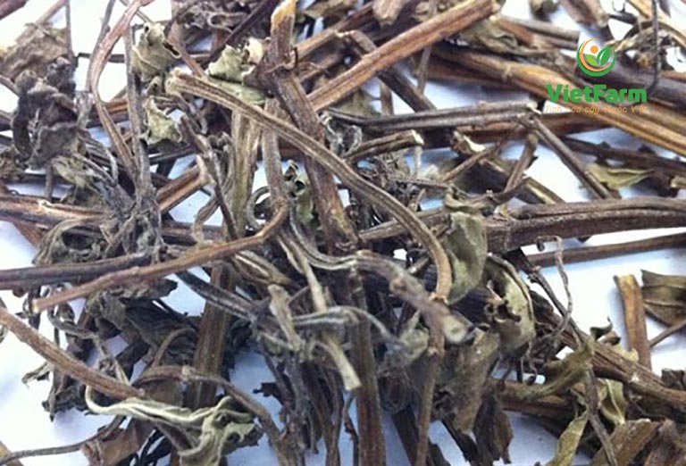 Bạc Hà Cây Lá 100g